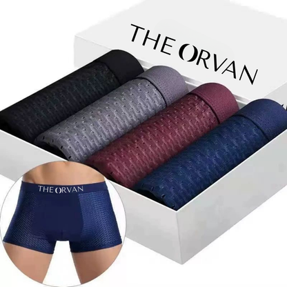 Boxer TheOrvan – le confort technique du quotidien