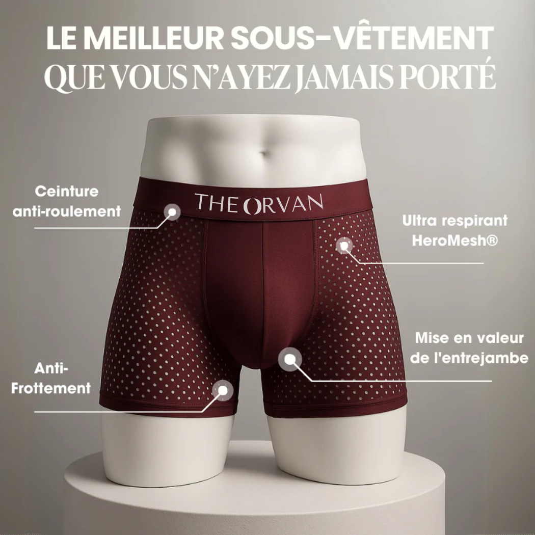Boxer TheOrvan – le confort technique du quotidien