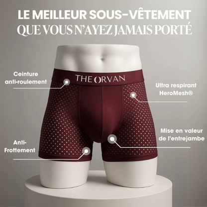 Boxer TheOrvan – le confort technique du quotidien
